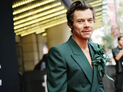 Cuál es el patrimonio total de Harry Styles
