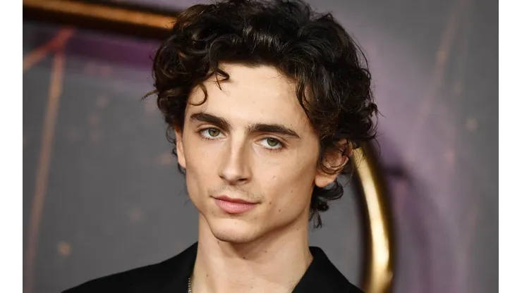 Timothée Chalamet tiene un nuevo proyecto alejado de Dune.