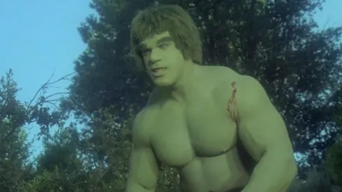 Lou Ferrigno como Hulk
