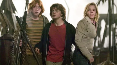 Los protagonistas de Harry Potter