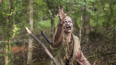 La serie terminará este año.