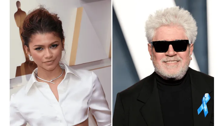 Zendaya y Pedro Almodóvar se encontraron en los Oscar 2022.