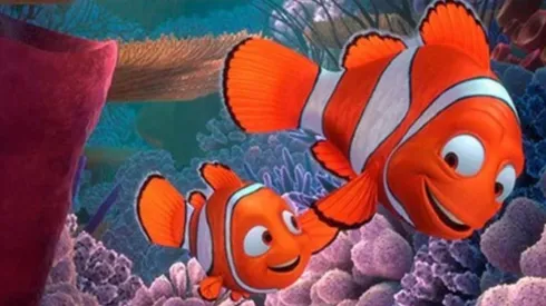 Buscando a Nemo