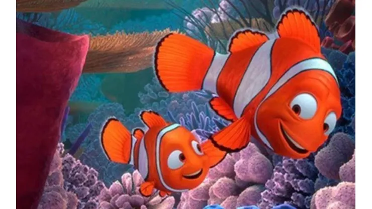Buscando a Nemo