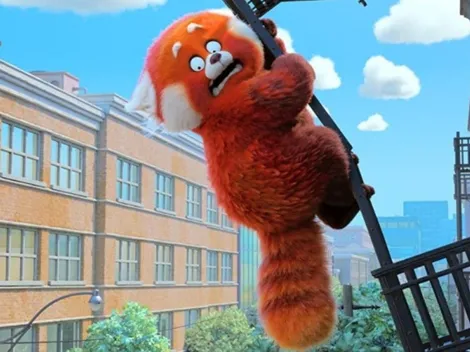 El panda rojo real que sorprende por su color parecido al del oso protagonista de Red