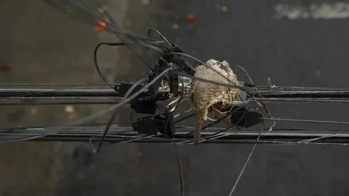 Malintzin 17, película que llega a México gracias al FICUNAM. (Foto: Malintzin 17)