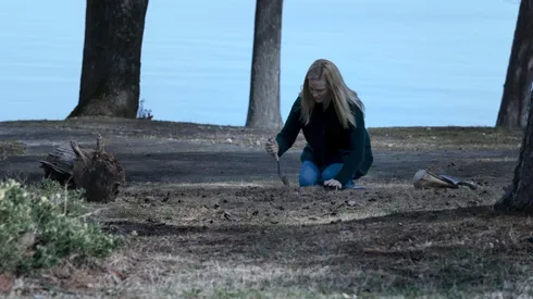 Netflix: la serie que logró el récord de audiencia en Estados Unidos según Nielsen.