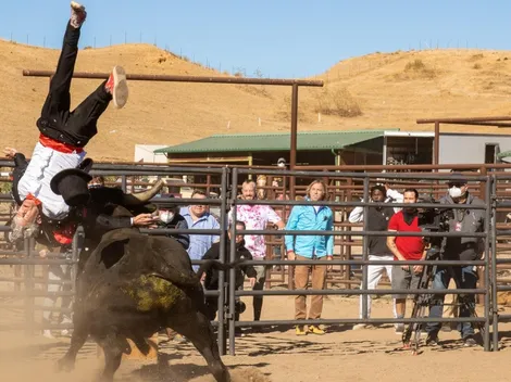 Investigan a los realizadores de Jackass Forever por maltrato animal