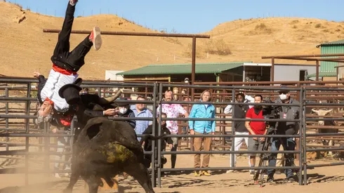 La película se estrenó el 4 de febrero.