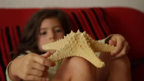 Malintzin 17, película mexicana que compite en el IFFR. (Foto: Cineteca Nacional)