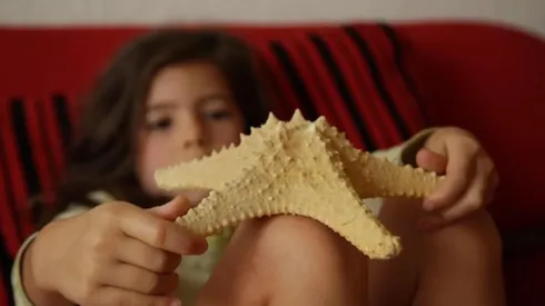 Malintzin 17, película mexicana que competirá en el Festival de Rotterdam. (Foto: FICM)