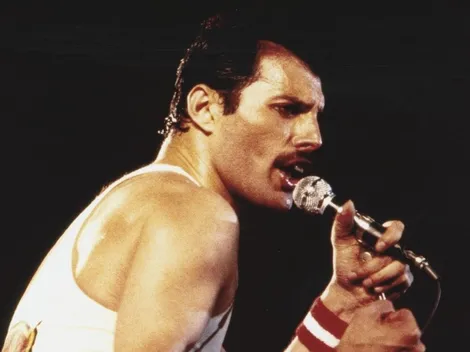 Las fotos del gato que es igual a Freddie Mercury