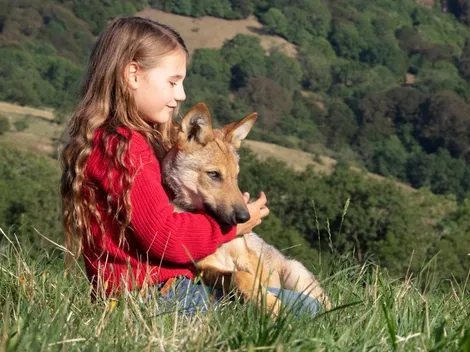 La historia real de la película Misterio