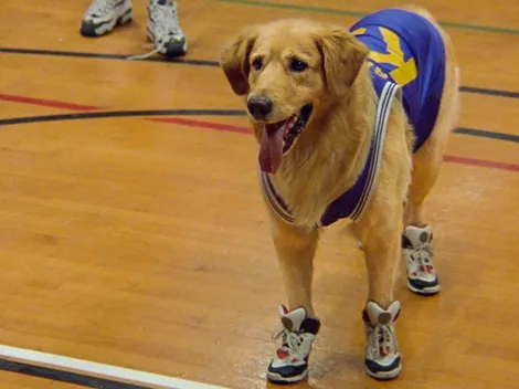 Amazon Prime Video: 3 películas perfectas para ver en Navidad