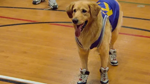 Tres clásicos inolvidables de la década del 90.