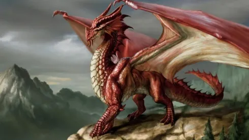 Un Dragón de D&D