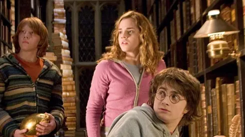 Los protagonistas de Harry Potter