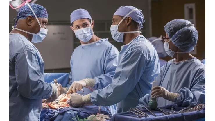 La actriz de Grey's Anatomy que es enfermera en la vida real.