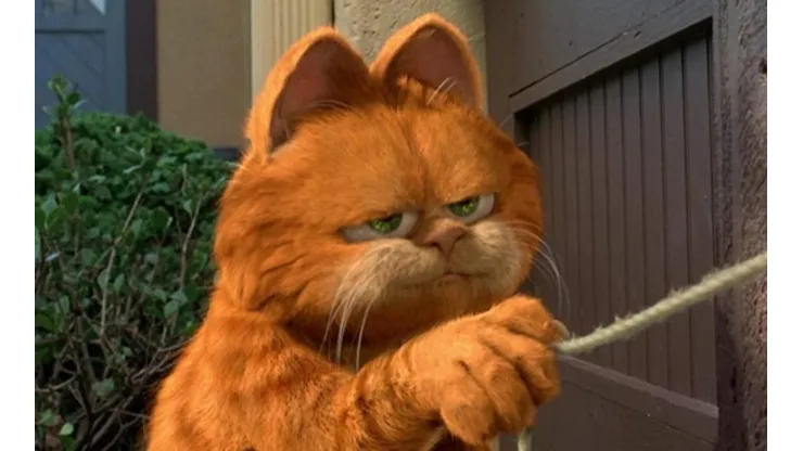 Garfield