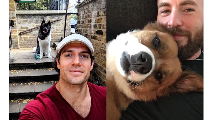 Henry Cavill y Chris Evans con sus perros