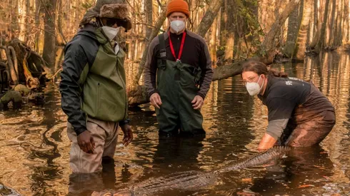 No es más Virgin River: la serie de Netflix más vista en Estados Unidos según Nielsen.