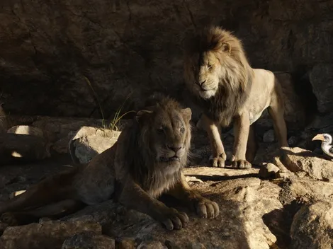 El Rey León: todo lo que se sabe sobre la precuela