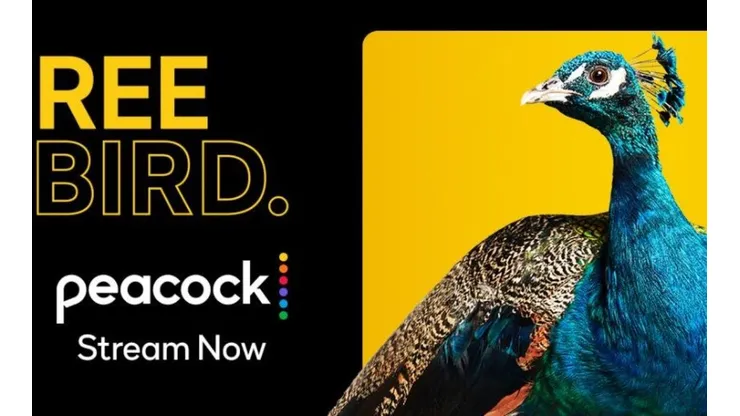 Peacock se lanzó en Estados Unidos el 15 de julio.