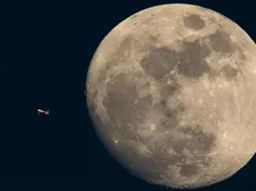 Luna Nueva en Leo: tips para aprovecharla al máximo según tu signo