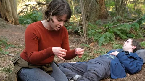 The Good Doctor arrasa en Netflix