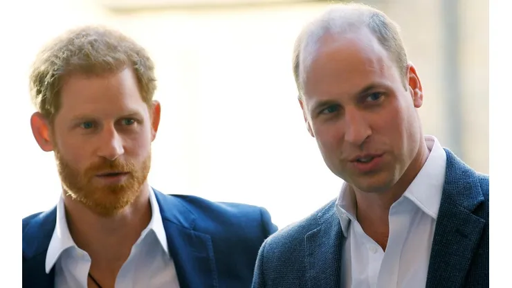 Los Príncipes Harry y William