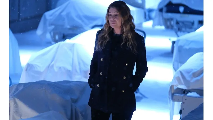 Ellen Pompeo cruzó a un fan que odió la temporada 17 de Grey's Anatomy.