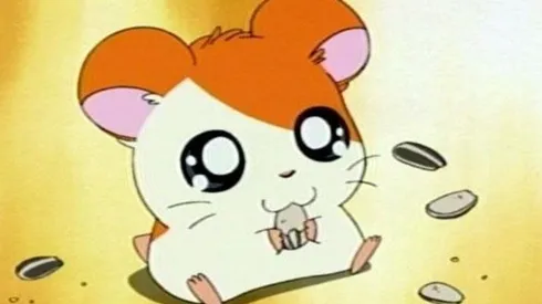 Dónde ver animés muy tiernos como Bananya, Hamtaro, Aggretsuko y más.