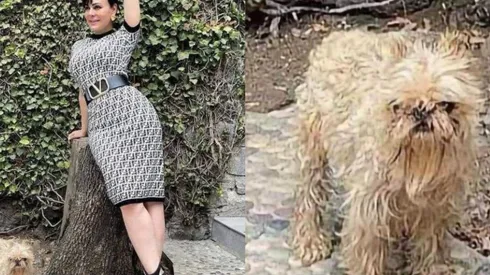 Maribel Guardia posó con su perro, pero el extraño aspecto del animal fue blanco de memes (Foto: @maribelguardia)