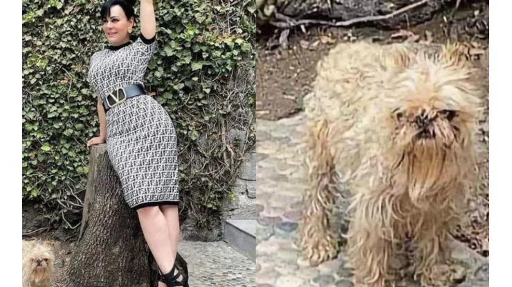 Maribel Guardia posó con su perro, pero el extraño aspecto del animal fue blanco de memes (Foto: @maribelguardia)