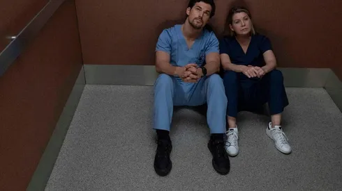 ¿Grey's Anatomy tendrá temporada 18? Esto dijo una de sus estrellas.