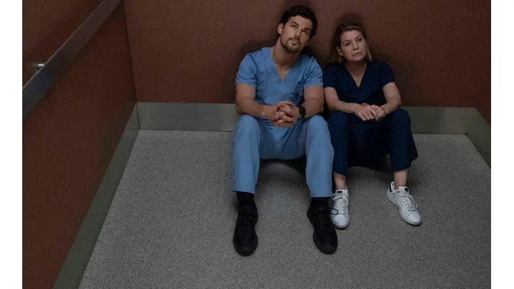 ¿Grey's Anatomy tendrá temporada 18? Esto dijo una de sus estrellas.