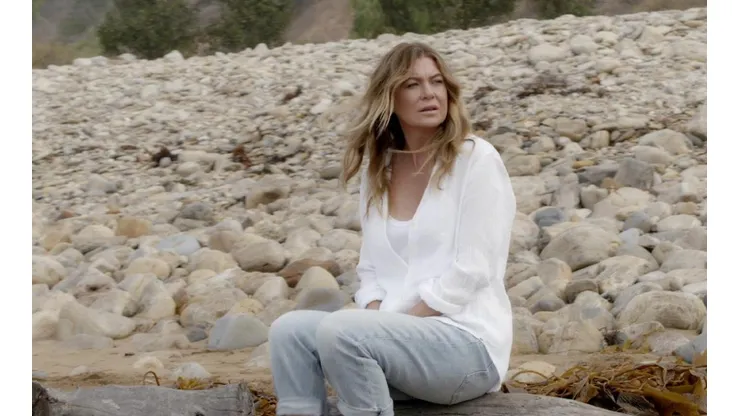 Grey's Anatomy sigue sin definir si la temporada 17 será la última de la serie
