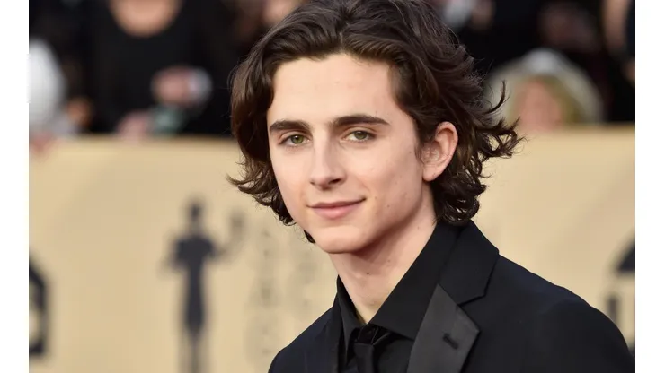 Timothée Chalamet en los SAG Awards 2019