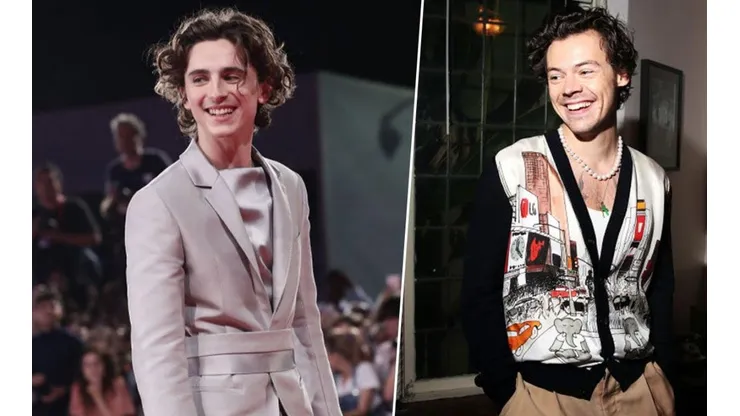 Timothée Chalamet imitó a Harry Styles y así reaccionaron los fans.