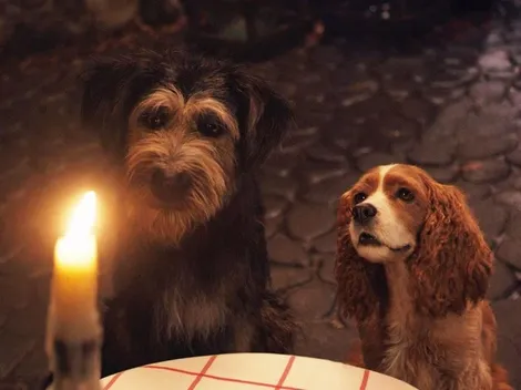 El live-action de La Dama y el Vagabundo llegó a Disney+ Latinoamérica