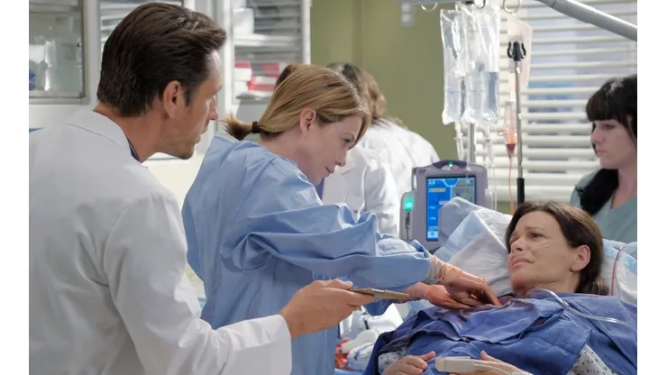 Llegó la temporada 17 de Grey's Anatomy: cuándo y cómo podrás verla