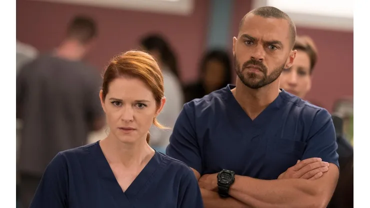 La ex estrella de Grey's Anatomy que protagonizará una serie