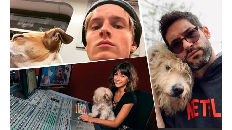 Las fotos más adorables de los famosos de Netflix y sus perros
