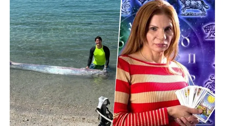 Como Mhoni Vidente: el pez que predice terremotos y tsunamis apareció en las costas de México