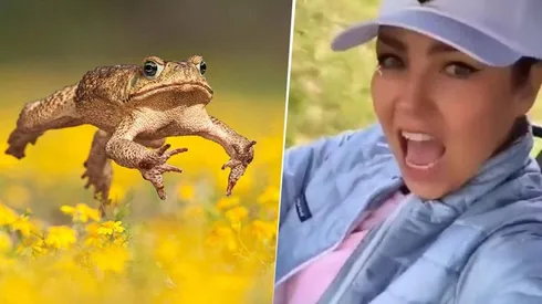 Video viral: Thalía fue sorprendida por una rana gigante y su reacción dio que hablar