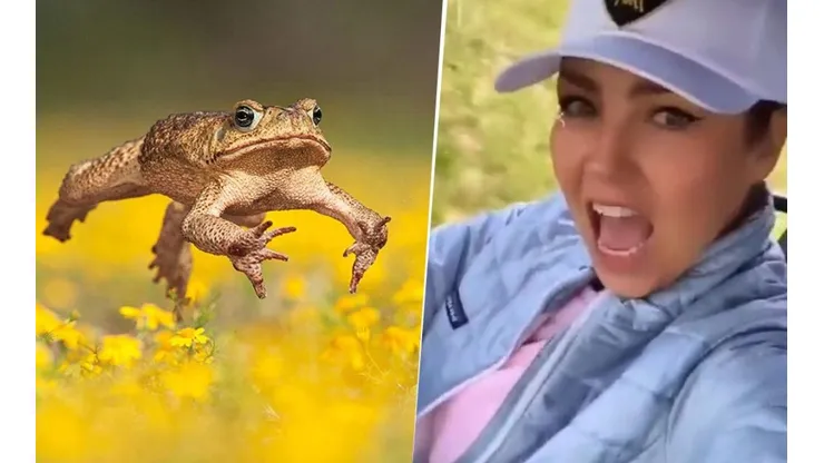 Video viral: Thalía fue sorprendida por una rana gigante y su reacción dio que hablar