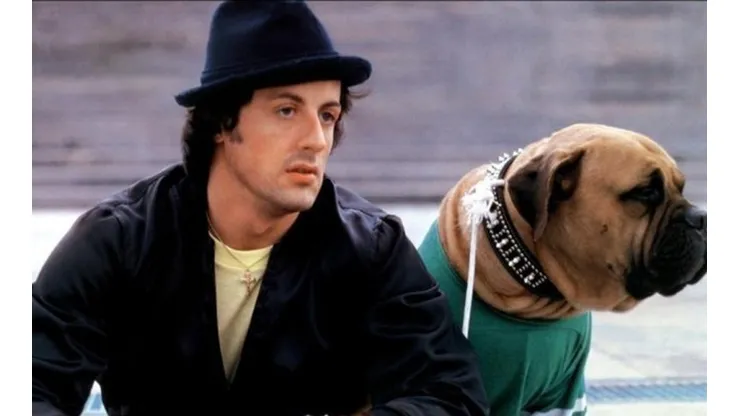 Sylvester Stallone: la cruda y emotiva historia de su perro 'Butkus'