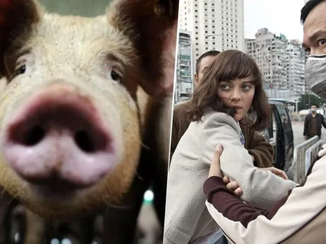 Descubren en China nueva gripe con "potencial de pandemia": en qué película ocurrió