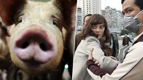 Descubren en China nueva gripe con "potencial de pandemia": en qué película ocurrió