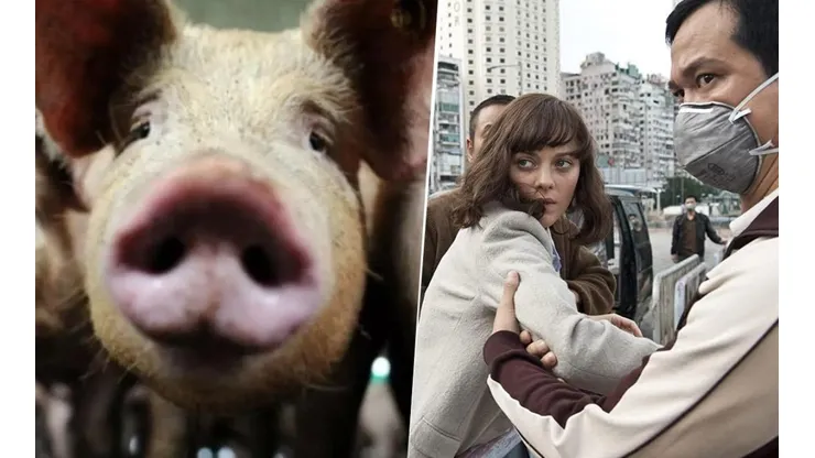 Descubren en China nueva gripe con "potencial de pandemia": en qué película ocurrió